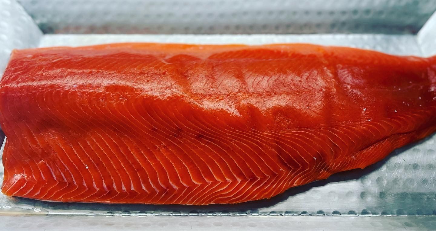 Salmon